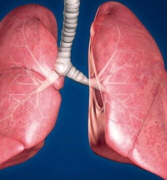 ¿Por qué se llaman venas pulmonares?