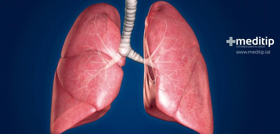 ¿Por qué se llaman venas pulmonares? ¿Por qué se llaman venas pulmonares?