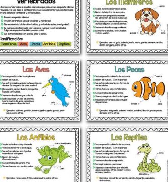 ¿Por qué se llaman vertebrados?