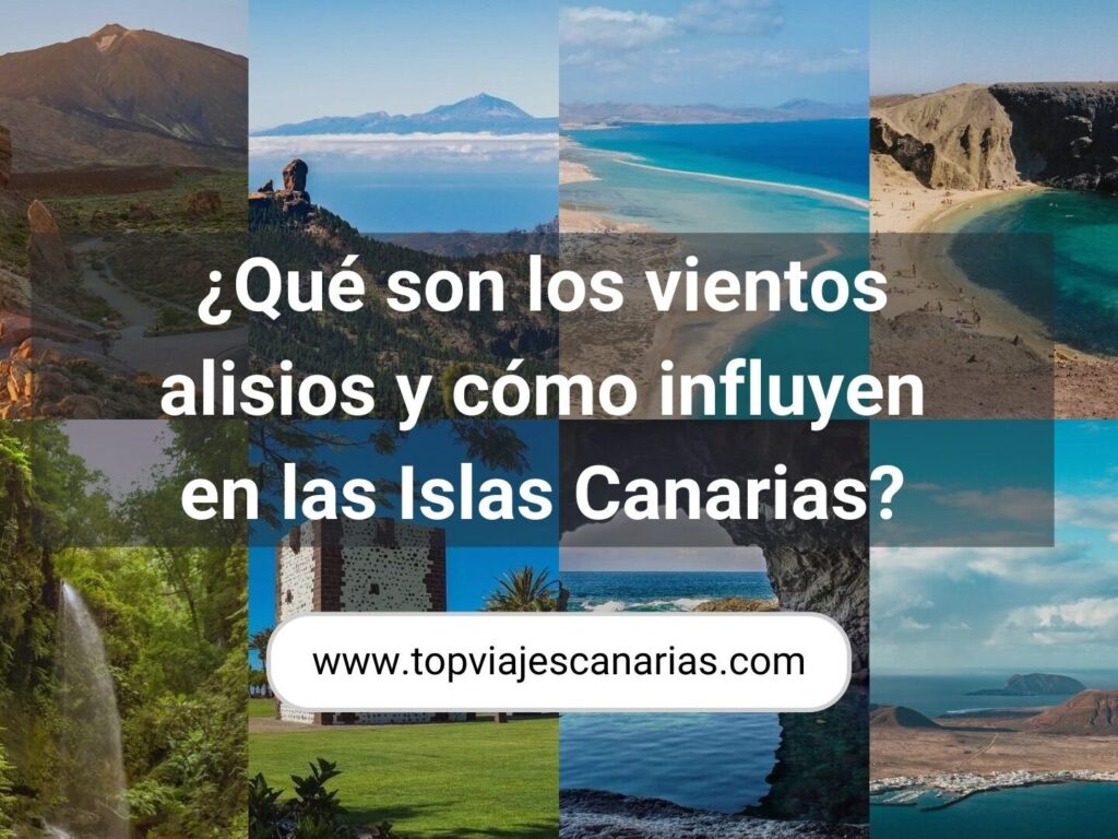 ¿Por qué se llaman vientos alisios?