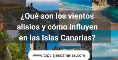 ¿Por qué se llaman vientos alisios?