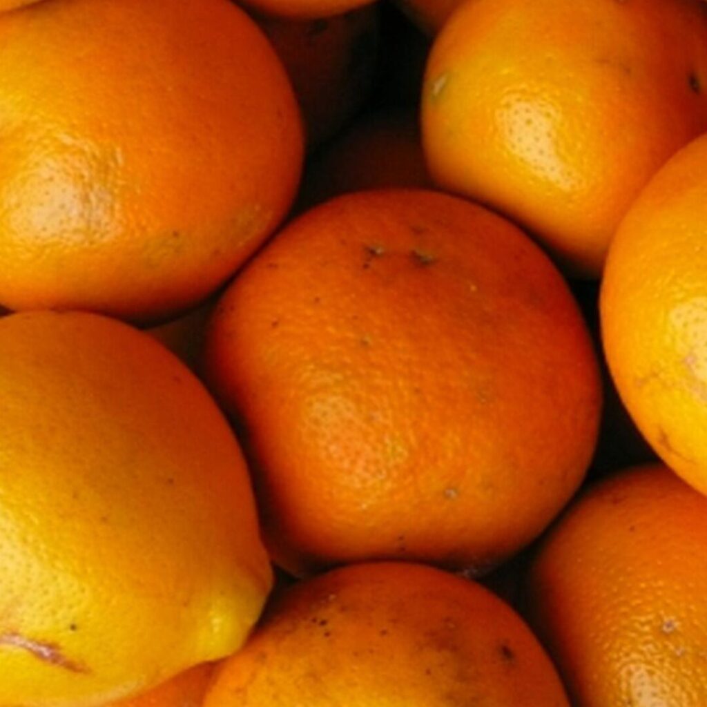 ¿Por qué se llaman Washington las naranjas? ¿Por qué se llaman Washington las naranjas?