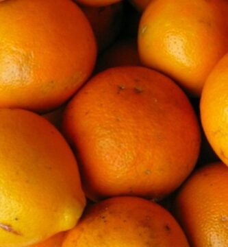 ¿Por qué se llaman Washington las naranjas?